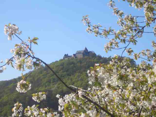 Blick vom Edersee hoch nach Schloss Waldeck